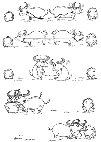 Two Bulls And Hay Coloring Page